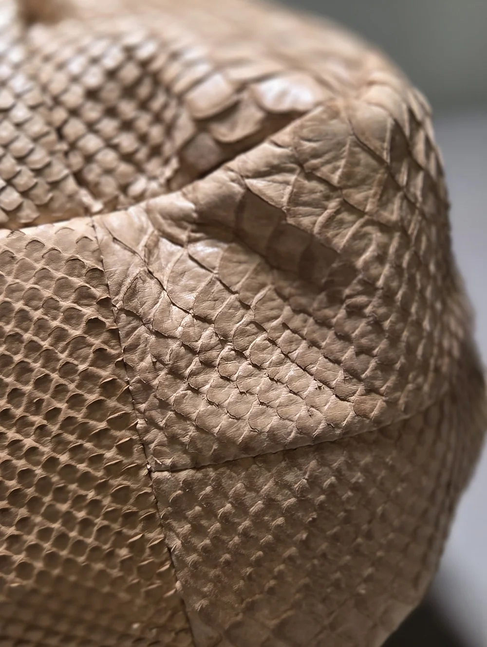 Coach Luxe Python Snakeskin Embossed Leather Maggie Madison Hobo Bag NEW • Rare - Picture 10 of 16